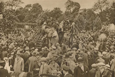 One of the Signs of Our Civilization: Well-Stocked Zoological Gardens to Delight the Curious