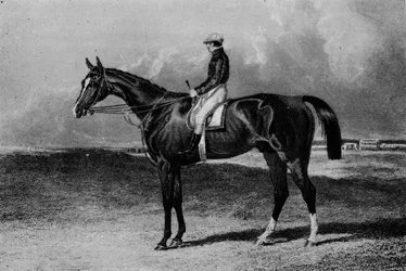 Orlando, c1841-1860