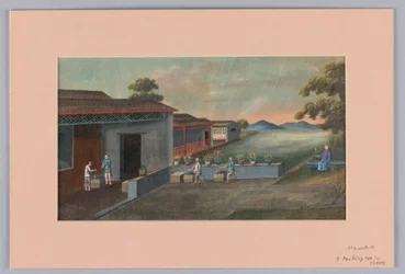 Packing Tea in Chests, 1890–1910