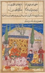 Page from Tales of a Parrot Tuti-nama: Eighth Night: The Young Prince is Presented