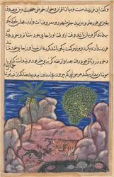 Page from Tales of a Parrot Tuti-nama: Fifteenth Night: The Cat Attacks the Mice, 1558-1560