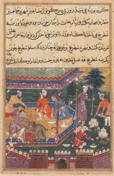 Page from Tales of a Parrot Tuti-nama: Fifth Night: The Wounded Monkey Bites the Hand, c1560