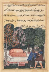 Page from Tales of a Parrot (Tuti-nama): Forty-eighth Night: The Young Man of Baghdad
