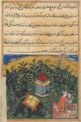 Page from Tales of a Parrot Tuti-nama: Fourth night: The mendicant