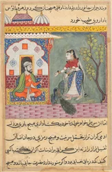 Page from Tales of a Parrot Tuti-nama: Nineteenth night: The Brahman