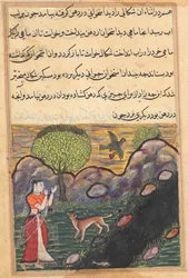 Page from Tales of a Parrot Tuti-nama: Sixteenth night: The daughter-in-law..., c. 1560
