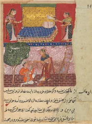 Page from Tales of a Parrot Tuti-nama: Sixteenth night: The daughter-in-law of the king