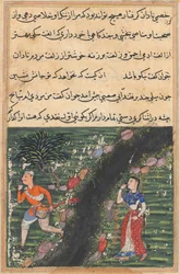 Page from Tales of a Parrot (Tuti-nama): Sixteenth night: The vagabond crosses..., c. 1560