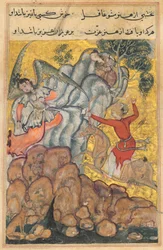 Page from Tales of a Parrot Tuti-nama: Thirty-fourth night: The third suitor