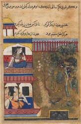 Page from Tales of a Parrot Tuti-nama: Thirty-ninth Night: The Queen of Rum