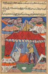Page from Tales of a Parrot Tuti-nama: Twenty-fourth night: The disguised Arab