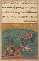 Page from Tales of a Parrot Tuti-nama: Twenty-second night: As punishment..., c. 1560