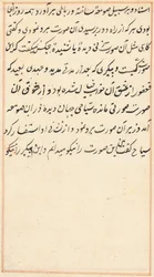 Page from Tales of a Parrot Tuti-nama: text page, c. 1517