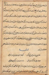 Page from Tales of a Parrot Tuti-nama: text page