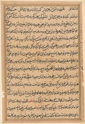 Page from Tales of a Parrot (Tuti-nama): text page, c. 1560