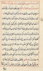 Page from Tales of a Parrot Tuti-nama: Text Page (c. 1560)