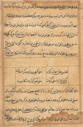 Page from Tales of a Parrot Tuti-nama: text page, c. 1560