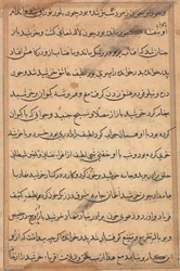 Page from Tales of a Parrot Tuti-nama: text page
