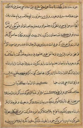 Page from Tales of a Parrot Tuti-nama: Text Page