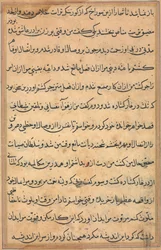 Page from Tales of a Parrot Tuti-nama: text page, c. 1560
