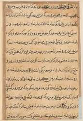 Page from Tales of a Parrot (Tuti-nama)