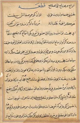 Page from Tales of a Parrot Tuti-nama: text page