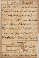 Page from Tales of a Parrot Tuti-nama: text page, c. 1560
