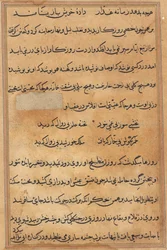 Page from Tales of a Parrot Tuti-nama: Text Page