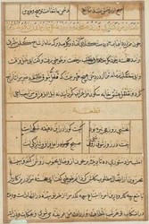 Page from Tales of a Parrot Tuti-nama: text page, c. 1560