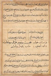 Page from Tales of a Parrot Tuti-nama: Text Page