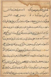 Page from Tales of a Parrot Tuti-nama: text page, c. 1560