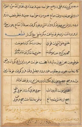 Page from Tales of a Parrot (Tuti-nama): text page
