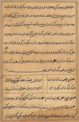 Page from Tales of a Parrot Tuti-nama: Text Page