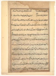 Page from Tales of a Parrot Tuti-nama: text page, c. 1560