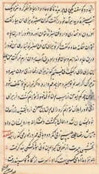 Page from Tales of a Parrot Tuti-nama: Text Page