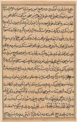 Page from Tales of a Parrot Tuti-nama: text page