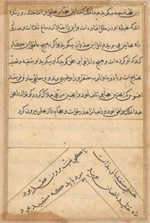 Page from Tales of a Parrot Tuti-nama: text page, c. 1560