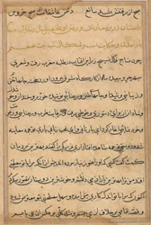 Page from Tales of a Parrot Tuti-nama: text page