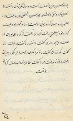 Page from Tales of a Parrot Tuti-nama: Text Page