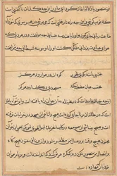 Page from Tales of a Parrot Tuti-nama: text page