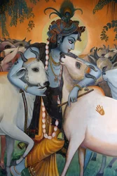 Hindu God Krishna Hugging Cows, India