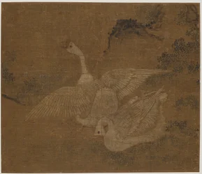 Pair of Domestic Geese