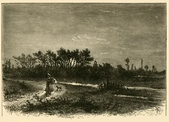 Peakirk, from the Cut
