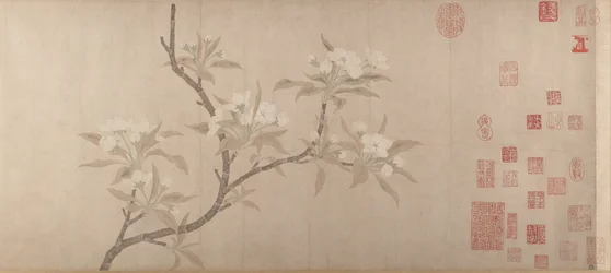 Pear Blossoms