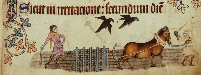 Peasants ploughing from the Luttrell Psalter