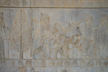Persepolis, Iran