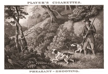 Pheasant-Shooting, 1924