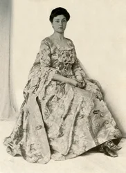 Photograph of a Kincob Brocade, with Silk Embroidered Stomacher