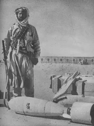 Picturesque Guardian of the Iraq Frontier