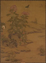 Plants and Insects, 1368-1644